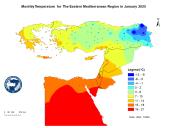 Observed 2m Temperature-2025-01