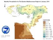 Observed Precipitation-2010-01