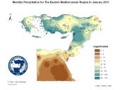 Observed Precipitation-2015-01