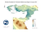Observed Precipitation-2019-01