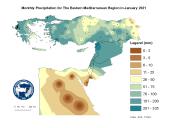 Observed Precipitation-2021-01