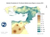 Observed Precipitation-2022-01