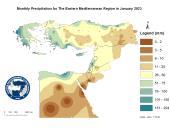 Observed Precipitation-2023-01