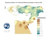 Observed Precipitation-2020-02