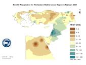 Observed Precipitation-2024-02