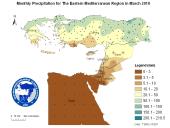 Observed Precipitation-2010-03