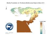 Observed Precipitation-2013-03