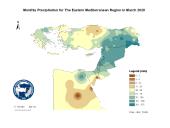 Observed Precipitation-2020-03