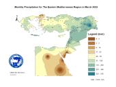 Observed Precipitation-2022-03