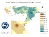Observed Precipitation-2023-03