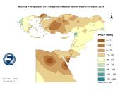 Observed Precipitation-2024-03