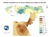 Observed Precipitation-2023-05