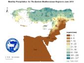 Observed Precipitation-2010-06