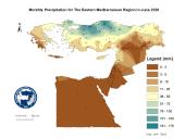 Observed Precipitation-2020-06