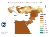 Observed Precipitation-2024-06