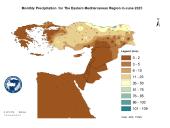 Observed Precipitation-2025-06