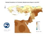 Observed Precipitation-2019-07