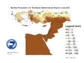 Observed Precipitation-2021-07