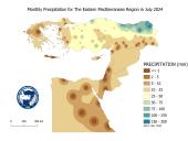 Observed Precipitation-2024-07