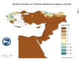 Observed Precipitation-2025-07