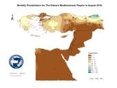 Observed Precipitation-2018-08