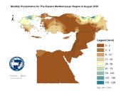 Observed Precipitation-2020-08