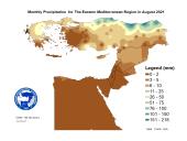 Observed Precipitation-2021-08