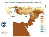 Observed Precipitation-2024-08