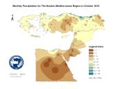 Observed Precipitation-2019-10