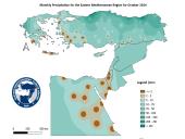 Observed Precipitation-2024-10