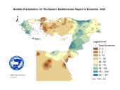 Observed Precipitation-2020-11