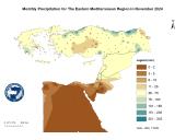 Observed Precipitation-2024-11