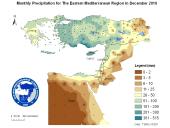 Observed Precipitation-2010-12