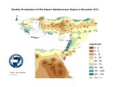 Observed Precipitation-2013-12
