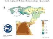 Observed Precipitation-2014-12