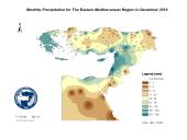 Observed Precipitation-2019-12