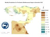 Observed Precipitation-2022-12