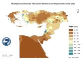 Observed Precipitation-2023-12