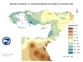 Observed Precipitation-2024-12