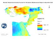 Temp Anomaly-2024-12